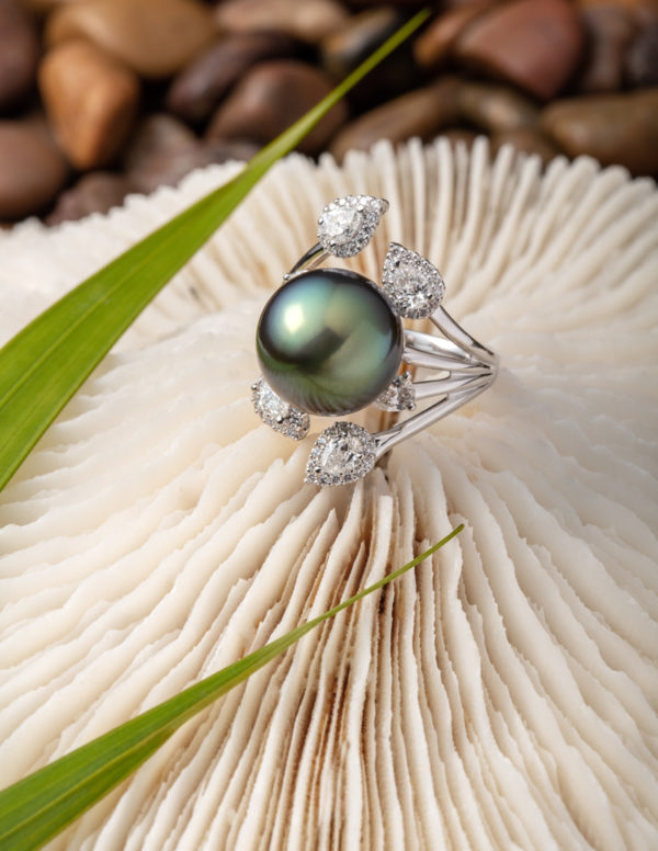 Tahitian Pearl and diamond ring in 18Kt white gold. Also available in 18Kt yellow gold.